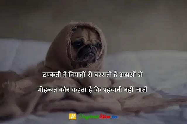 breakup shayari lyrics, breakup shayari gujarati, top 10 breakup shayari in hindi, breakup shayari attitude, breakup shayari in english, heart touching breakup shayari, जख्मी ब्रेकअप शायरी हिंदी, दोस्त ब्रेकअप शायरी, प्यार में ब्रेकअप शायरी, ब्रेकअप शायरी मराठी, ब्रेकअप शायरी फोटो boy, ब्रेकअप शायरी in English, ब्रेकअप शायरी इन हिंदी इमेजेज, ब्रेकअप शायरी इमेजेज, ब्रेकअप होने के बाद की शायरी, दोस्त ब्रेकअप शायरी, ब्रेक उप शायरी इन हिंदी, ब्रेकअप शायरी इन हिंदी इमेजेज, ब्रेकअप शायरी in English, जख्मी ब्रेकअप शायरी हिंदी, ब्रेकअप शायरी Download, ब्रेकअप शायरी फोटो boy