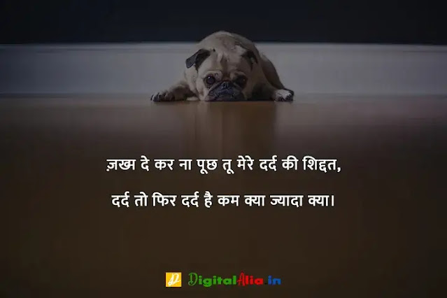 प्यार में दर्द भरी शायरी हिंदी में, whatsapp dard bhari shayari, bhai dard bhari shayari, dard bhari shayari in hindi for girlfriend, dard bhari shayari in hindi text, apne dard bhari shayari, dard bhari shayari urdu, अपना दर्द शायरी, सबसे दर्द भरी शायरी डाउनलोड, दर्द भरी बातें, दर्द भरी शायरी फोटो HD, दर्द भरी शायरी हद, खतरनाक दर्द भरी शायरी, सबसे दर्द भरी शायरी हिंदी में, अपना दर्द शायरी, सबसे दर्द भरी शायरी डाउनलोड, सबसे दर्द भरी शायरी हिंदी में, प्यार में दर्द भरी शायरी हिंदी में, दर्द भरी शायरी फोटो HD, दर्द भरी शायरी pdf, दर्द भरी बातें