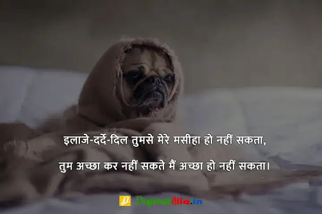 प्यार में दर्द भरी शायरी हिंदी में, whatsapp dard bhari shayari, bhai dard bhari shayari, dard bhari shayari in hindi for girlfriend, dard bhari shayari in hindi text, apne dard bhari shayari, dard bhari shayari urdu, अपना दर्द शायरी, सबसे दर्द भरी शायरी डाउनलोड, दर्द भरी बातें, दर्द भरी शायरी फोटो HD, दर्द भरी शायरी हद, खतरनाक दर्द भरी शायरी, सबसे दर्द भरी शायरी हिंदी में, अपना दर्द शायरी, सबसे दर्द भरी शायरी डाउनलोड, सबसे दर्द भरी शायरी हिंदी में, प्यार में दर्द भरी शायरी हिंदी में, दर्द भरी शायरी फोटो HD, दर्द भरी शायरी pdf, दर्द भरी बातें