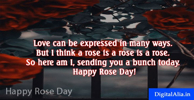 rose day images, rose day greeting cards, rose day wallpaper, rose day hd photos, rose day images download, rose day images for girlfriend, rose day quotes with images, rose day images for boyfriend, rose day images for wife, rose day images for husband, valentine week spacial images for crush