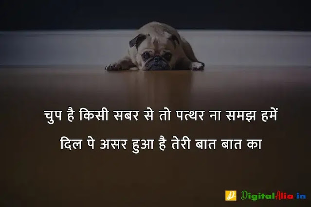 sad shayari image download, very sad shayari images, sad shayari dp, sad shayari images male, sad feeling images in hindi, sad images shayri boy, sad shayari wallpaper, वाइफ सैड शायरी, सैड शायरी गर्ल्स, प्यार सैड शायरी, मैरिज सैड शायरी इन हिंदी, सैड शायरी हिंदी में लिखी हुई, ज़िन्दगी सैड शायरी हिंदी, सैड शायरी फॉर वाइफ इन हिंदी, न्यू सैड शायरी, बहुत प्यार करने वाली शायरी, सच्चा प्यार करने वाली शायरी, गहरे प्यार की शायरी, बेहद प्यार वाली शायरी, पहला प्यार शायरी, प्यार शायरी, प्यार शुरू करने की शायरी, मेरा प्यार शायरी