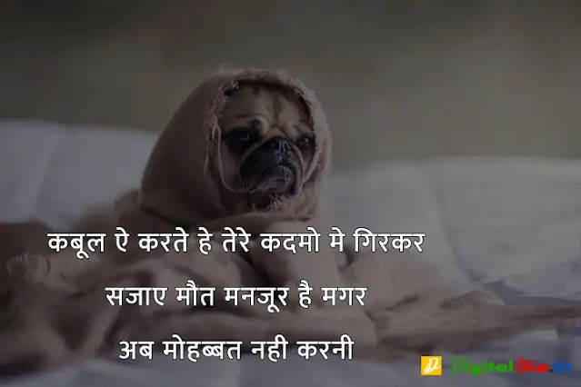 sad shayari image download, very sad shayari images, sad shayari dp, sad shayari images male, sad feeling images in hindi, sad images shayri boy, sad shayari wallpaper, वाइफ सैड शायरी, सैड शायरी गर्ल्स, प्यार सैड शायरी, मैरिज सैड शायरी इन हिंदी, सैड शायरी हिंदी में लिखी हुई, ज़िन्दगी सैड शायरी हिंदी, सैड शायरी फॉर वाइफ इन हिंदी, न्यू सैड शायरी, बहुत प्यार करने वाली शायरी, सच्चा प्यार करने वाली शायरी, गहरे प्यार की शायरी, बेहद प्यार वाली शायरी, पहला प्यार शायरी, प्यार शायरी, प्यार शुरू करने की शायरी, मेरा प्यार शायरी