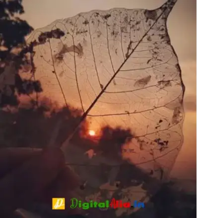 whatsapp status dp in english, whatsapp dp, status dp photo, dp for whatsapp profile, best dp for whatsapp, my love dp, true love dp, s a love dp, cute love dp pic, love dp for girls, english love dp for whatsapp, stylish dp editing name, stylish dp for girls, stylish dp boy, stylish dp boy hd, stylish dp pic boy, new stylish dp for whatsapp, stylish dp cartoon